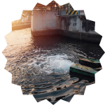 tratamiento de efluentes productos biologicos para el tratamiento de efluentes riles- aguas servidas tratamiento